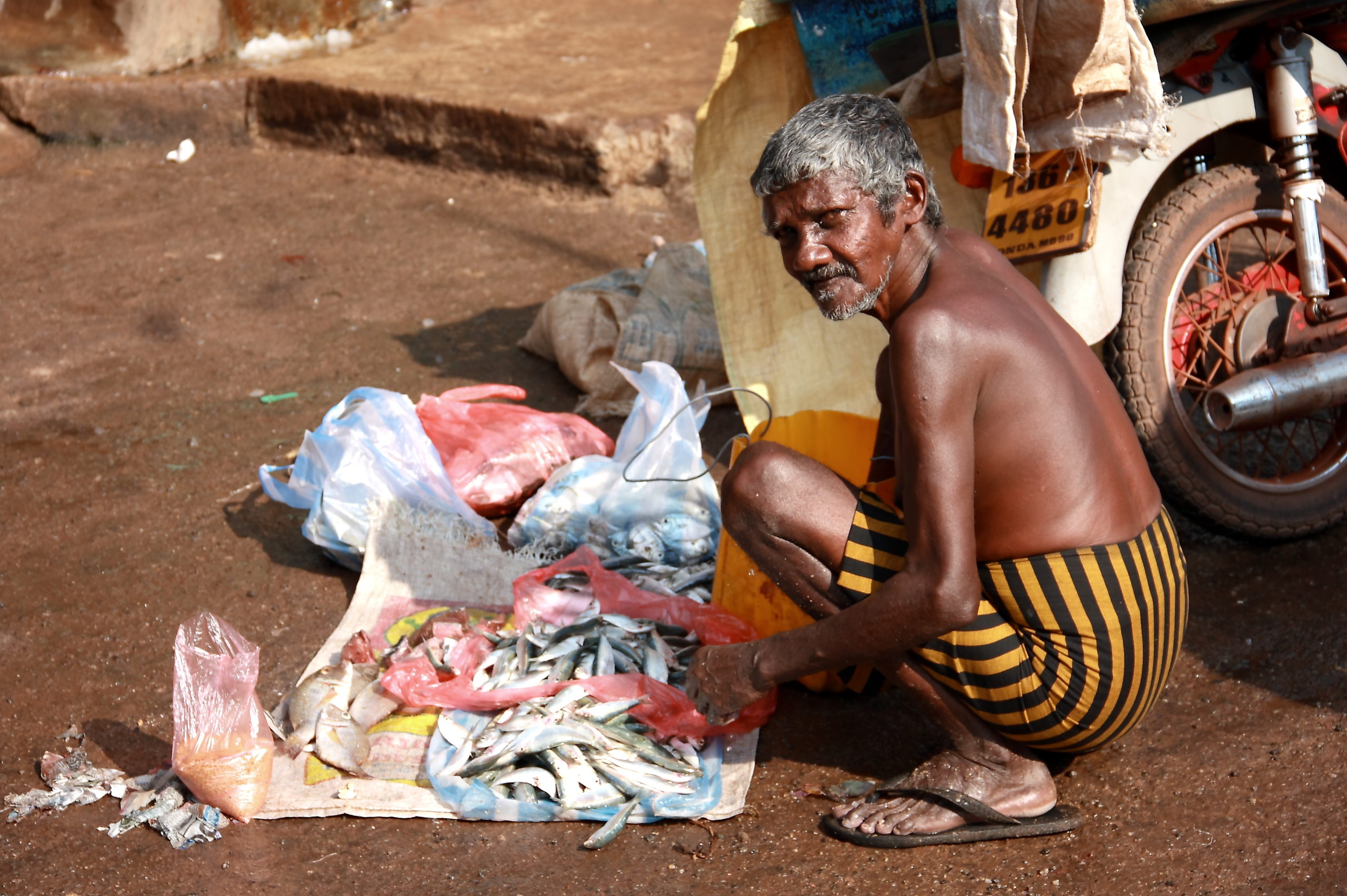 devis ferri fotografia